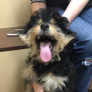 Meet your Posher, Trinity